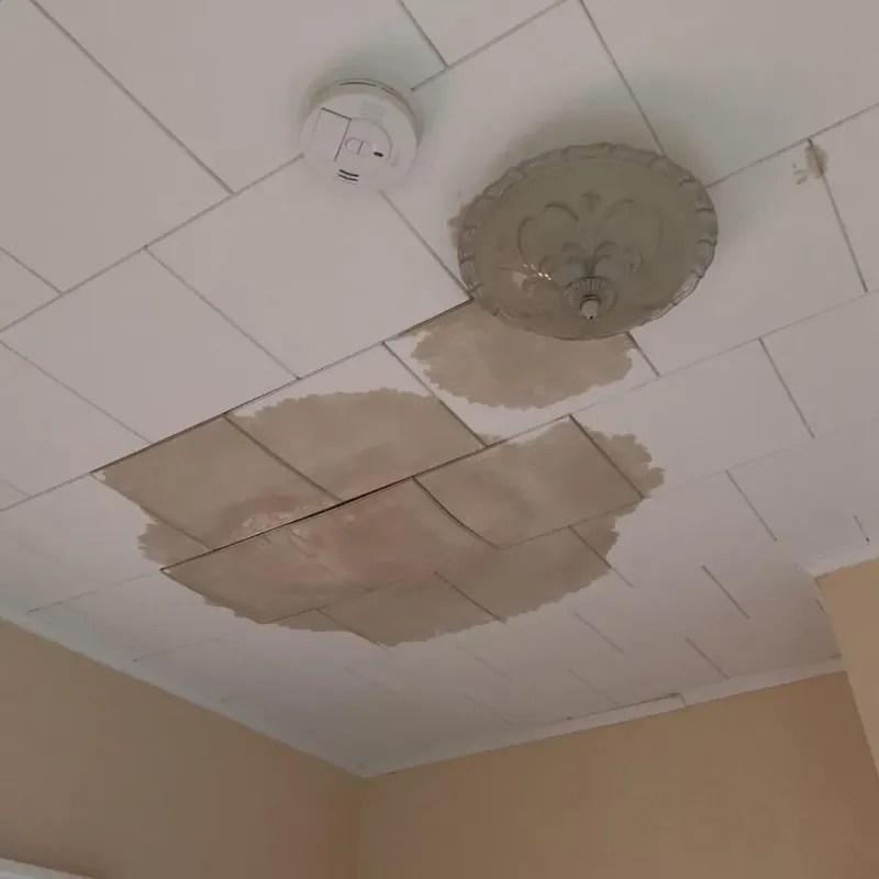 Ceiling Water Damage Repair in Hillsdale, MO