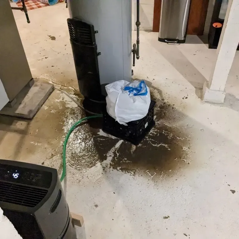 Sewage Backup Cleanup Service in Hillsdale, MO